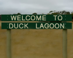 Welcome to Duck Lagoon