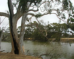 Part of the Lagoon