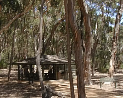 Part of the picnic area