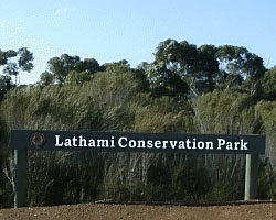 Welcome to Lathami Conservation Park